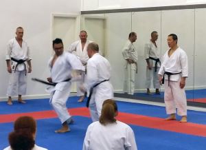 2014-03-13 Kagawa Teaching 2