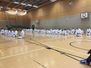 2015-02-Karate-A-Thon1